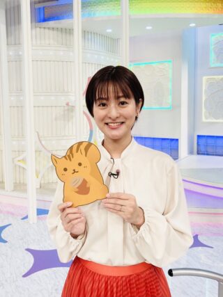 日本テレビ 徳島えりかアナウンサーの驚きの年収は 出身高校 大学等 太郎の女子アナ日記